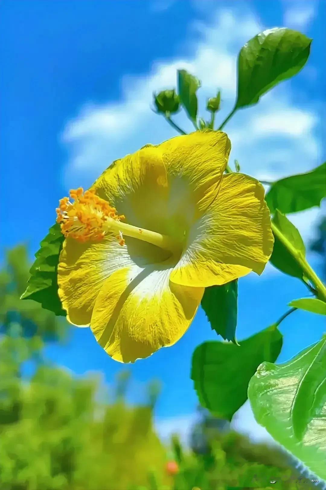 #上联: 冬去千山秀，诚邀下联#
#下联：春归万物苏。#
#横批：四季焕新[玫瑰