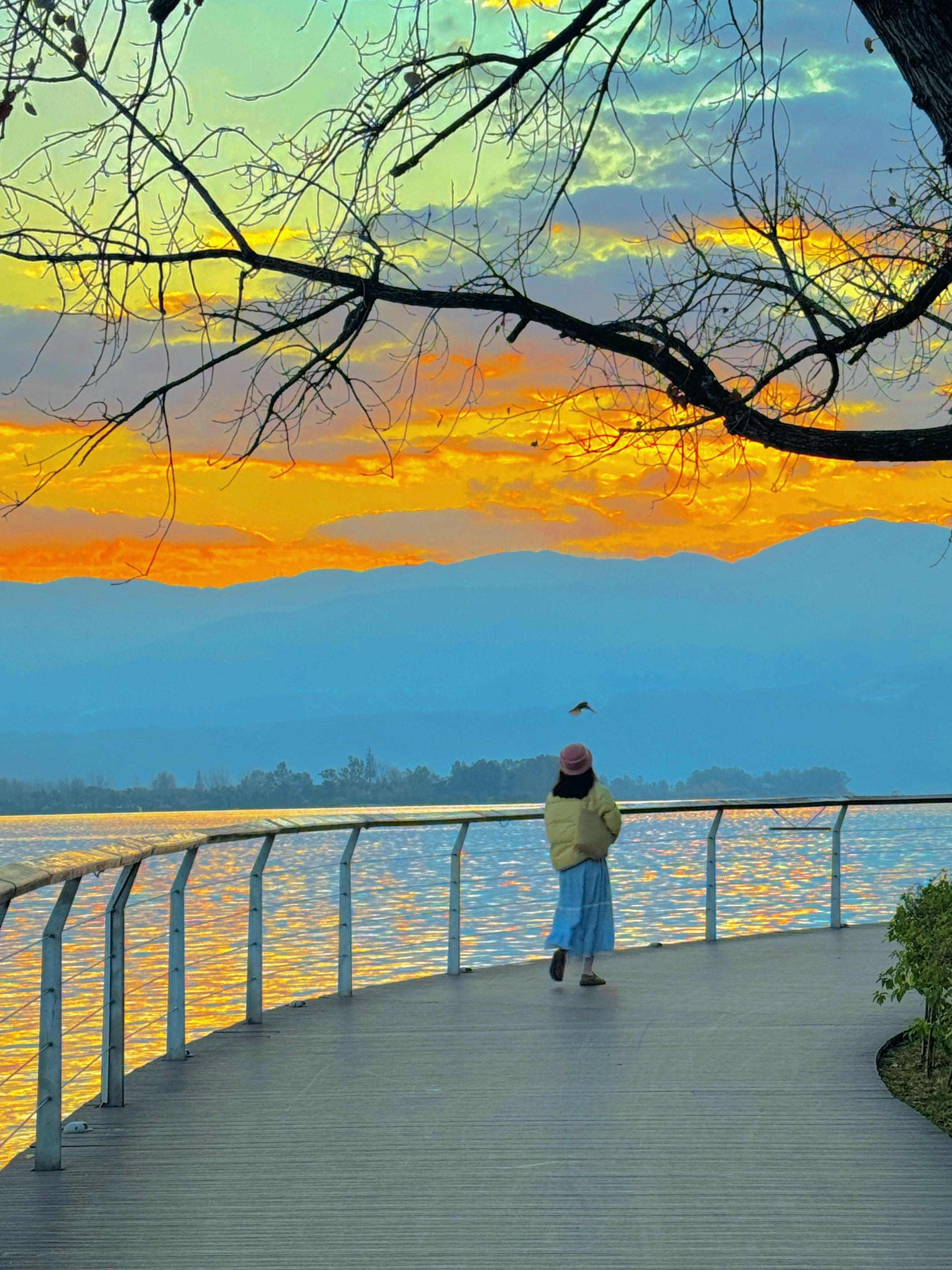 1.2live｜西昌橘子海日出美哭了 连续两天来邛海看日出了 朝霞、海...