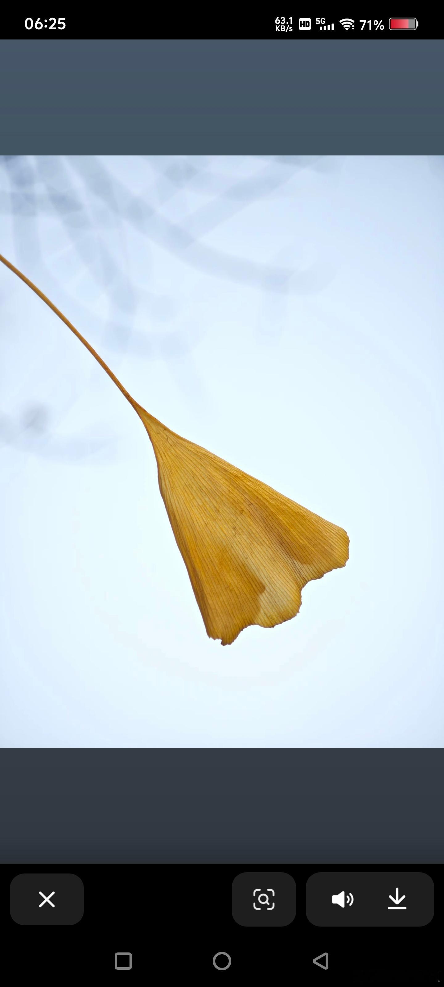 今天盘前多了个热点，我看已经在热搜上了，毕竟这是西方人唯一能听懂的语言。[色][