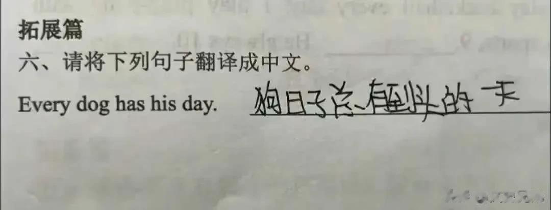 #2023年度创作挑战#
这是我见过最霸气的翻译。
狗日子总算到头了！
这是我见