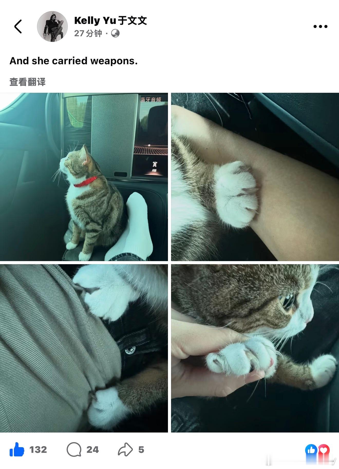 有个咪上镜率好高🐈😌 