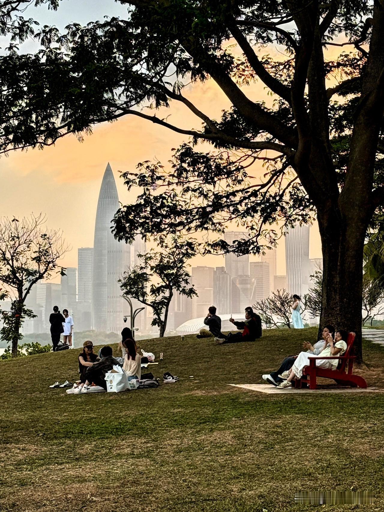 假日深圳湾，那真是风情万种。阳光洒在湛蓝的海面上，波光粼粼，像无数颗钻石在闪耀。