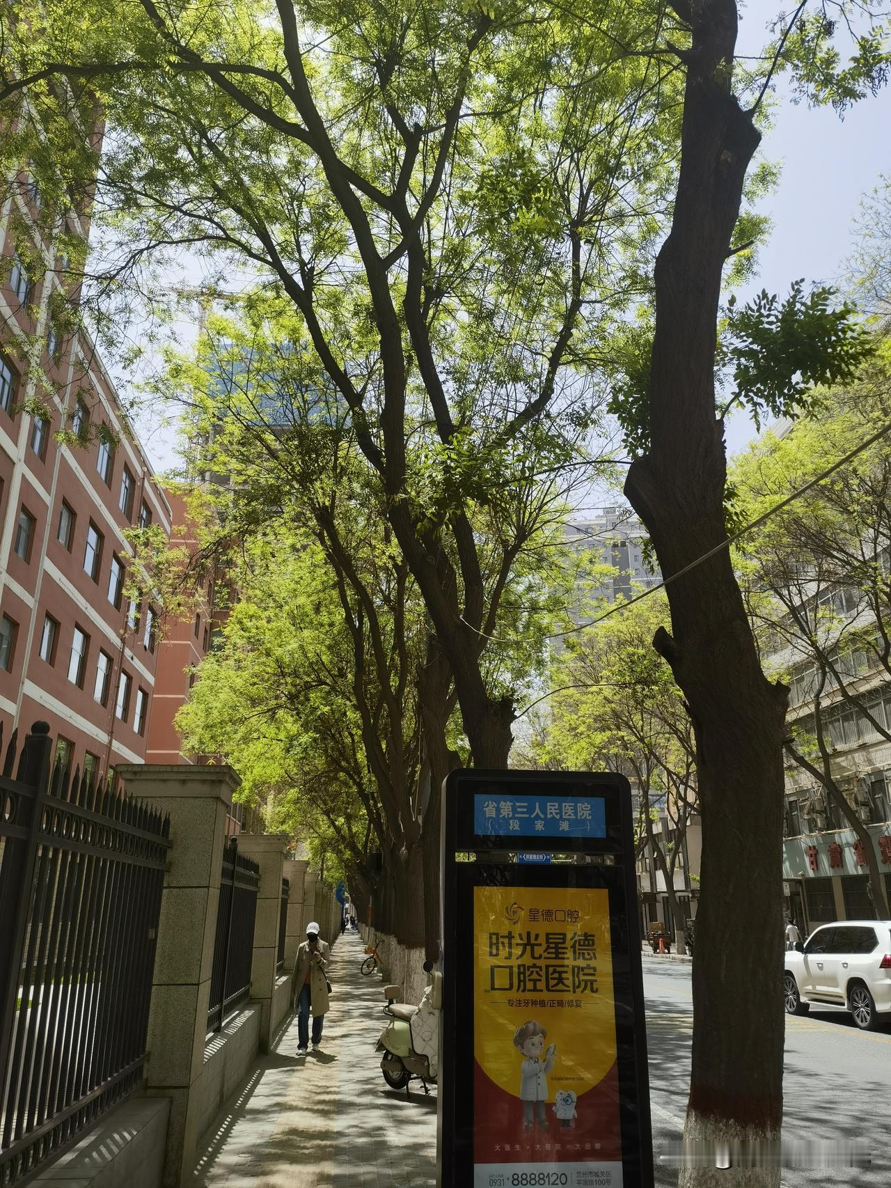 兰州的鱼池口路！这里以前是个大鱼塘，沿着这条马路，往北走上二三米，就是一条铺了油