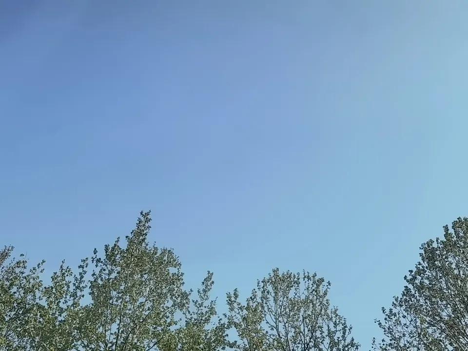 上传一张你手机里天空的照片吧仔细看看，那飞过去的东西是什么？