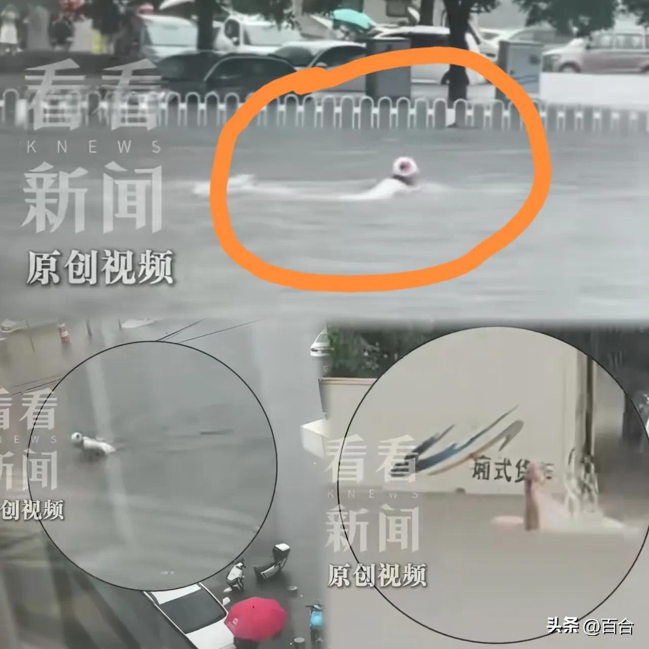 这下好了，不仅东北，连全国人民都知道了，谁能想到，面对暴雨，沈阳银不是囤粮囤水囤