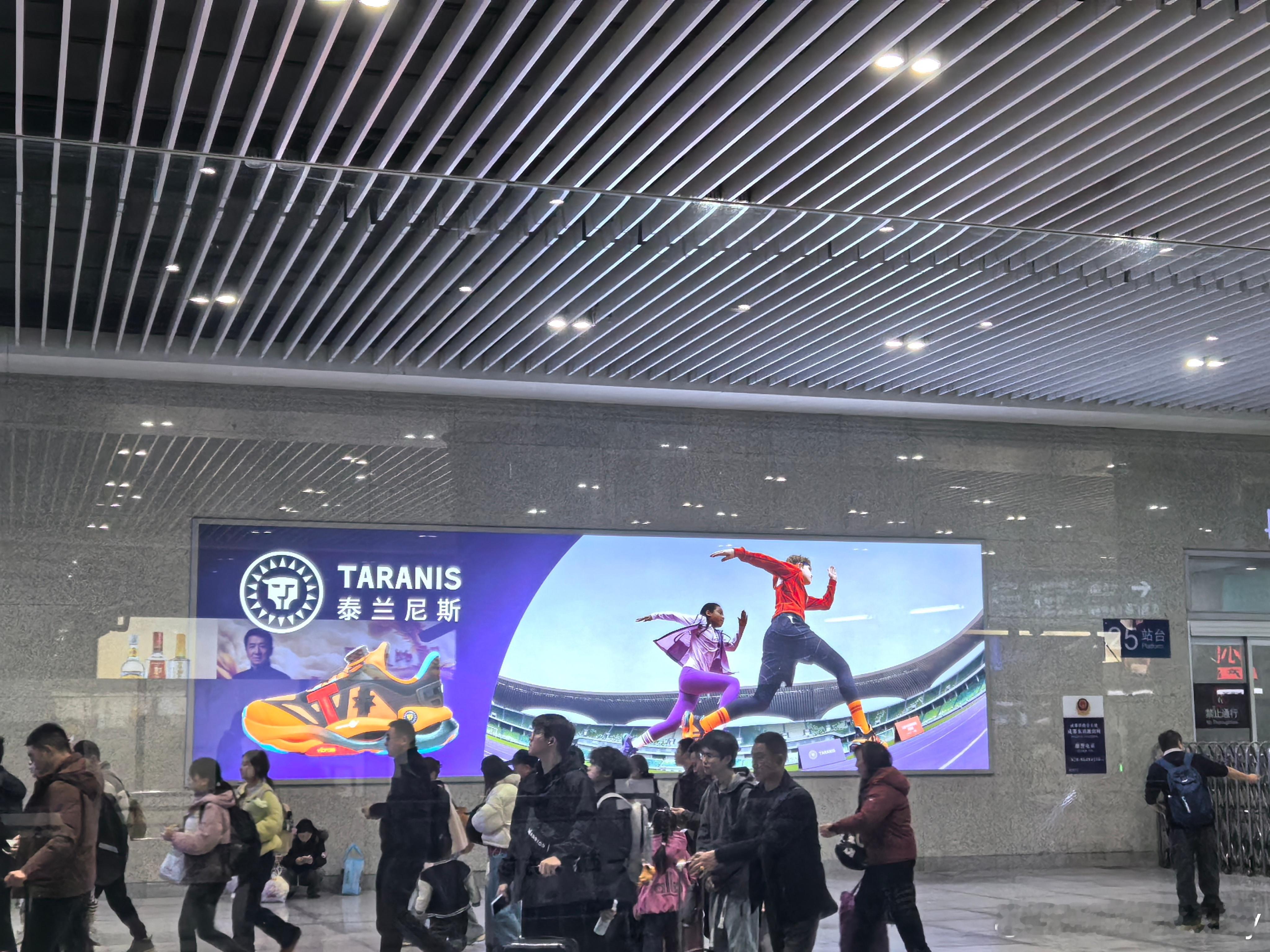 泰兰尼斯的广告好多，成都东站大厅两边都是大幅的广告，记不住都不行。一双童鞋都卖1