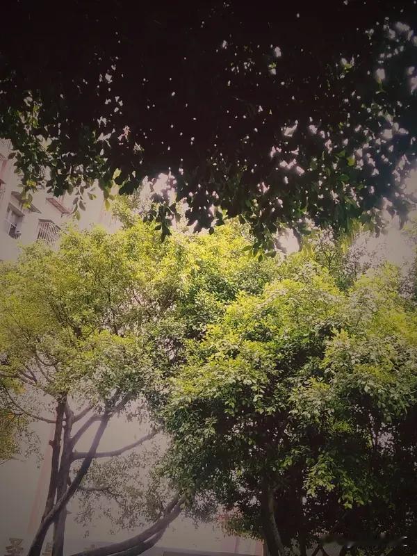 不求回报的付出，太难做到了。就像在爱情里，很多人付出了真心，都希望能得到对方同等