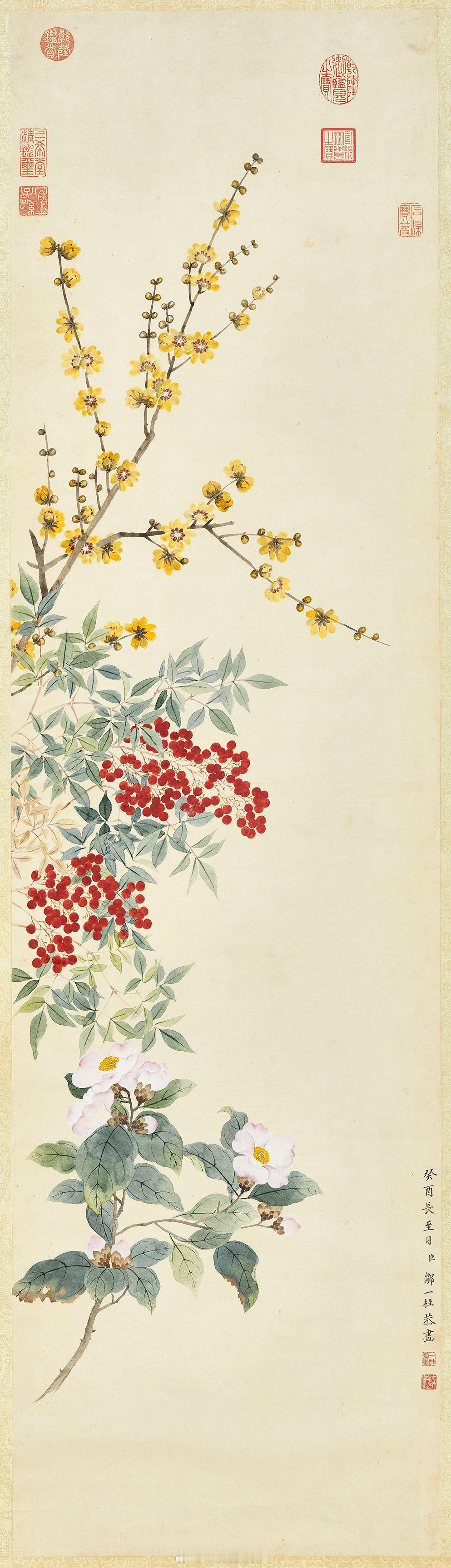 清 邹一桂画蜡梅天竺山茶　轴尺寸：127x35.2 公分来源：台北故宫博物院 
