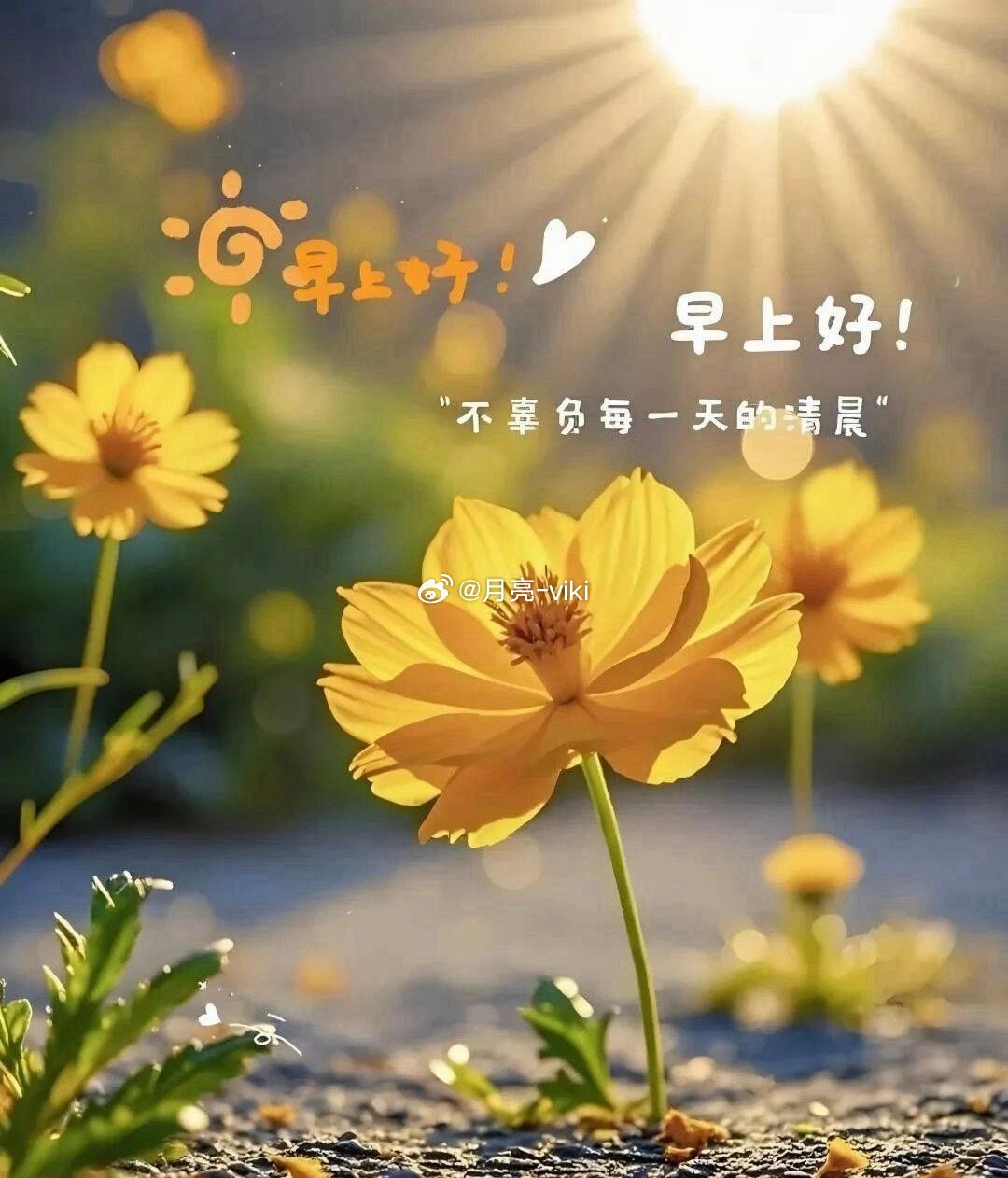 🪴➯ ʍօʀռɨռɢ ☀️生活要尽心，用心也要开心，随心新的一天，早上好☀️岑