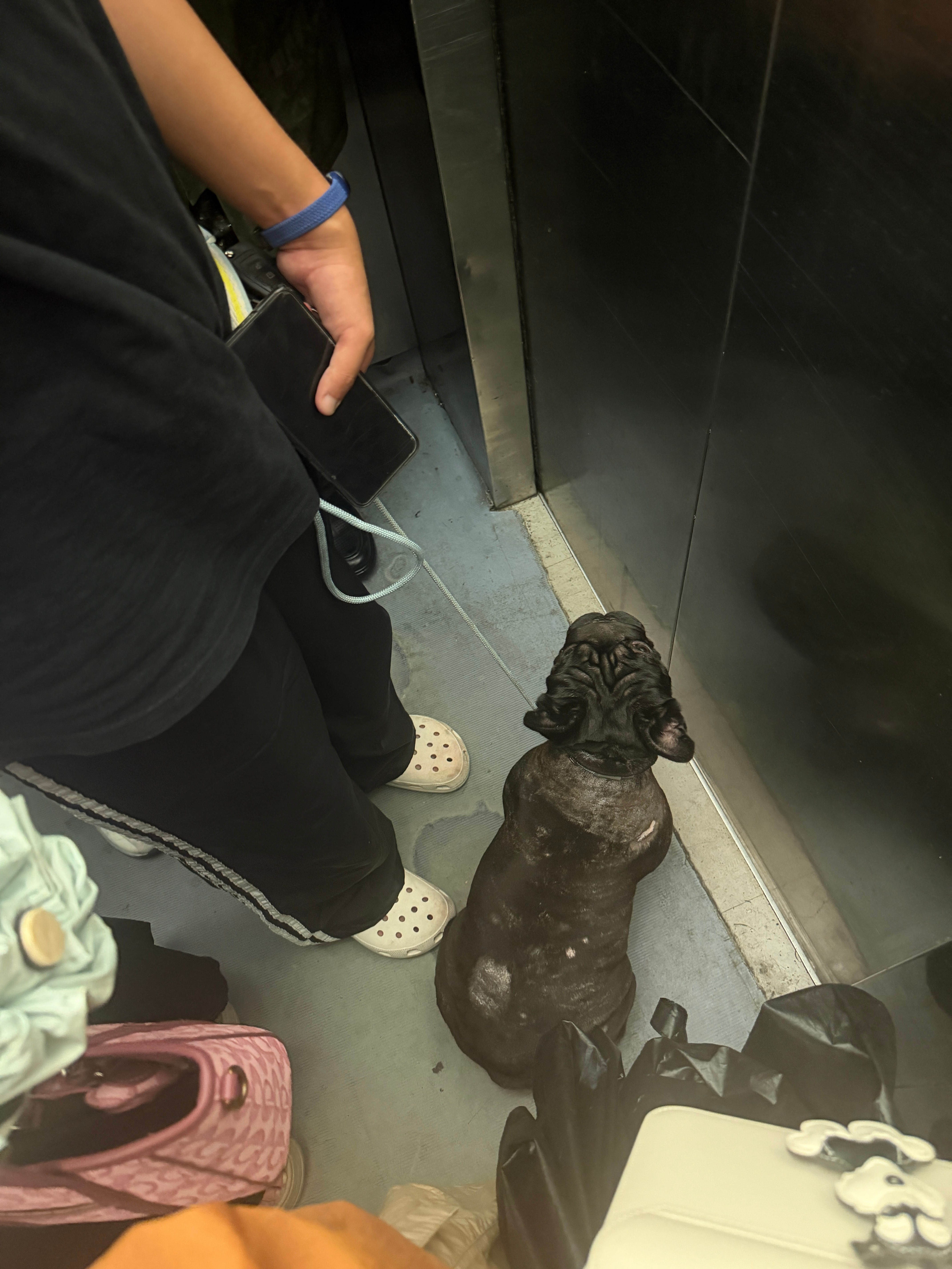 莫名其妙舔我小腿，害怕 