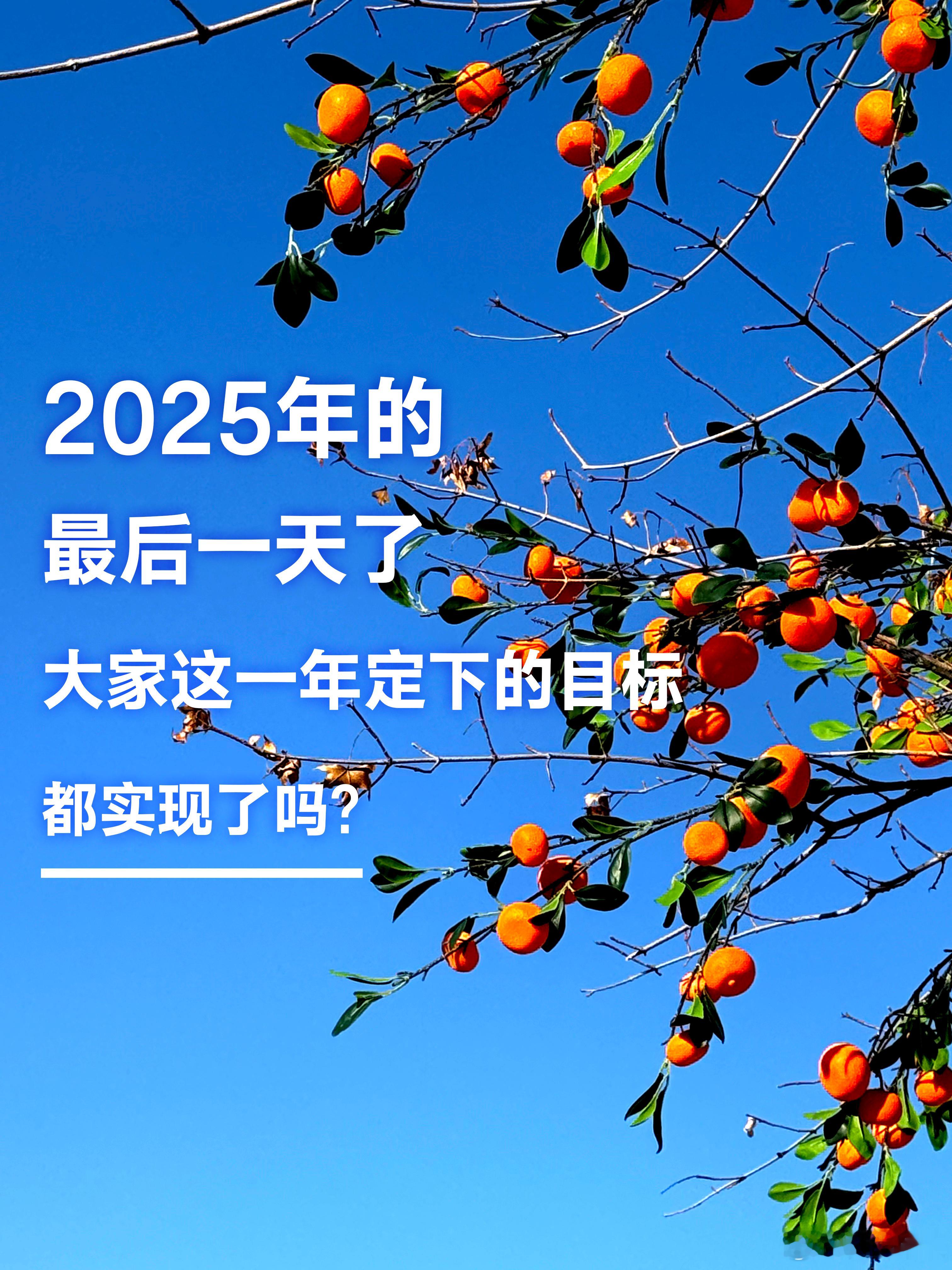 2025年的最后一天这一年定下的目标都实现了吗？无论结果如何，都请记得给自己点一