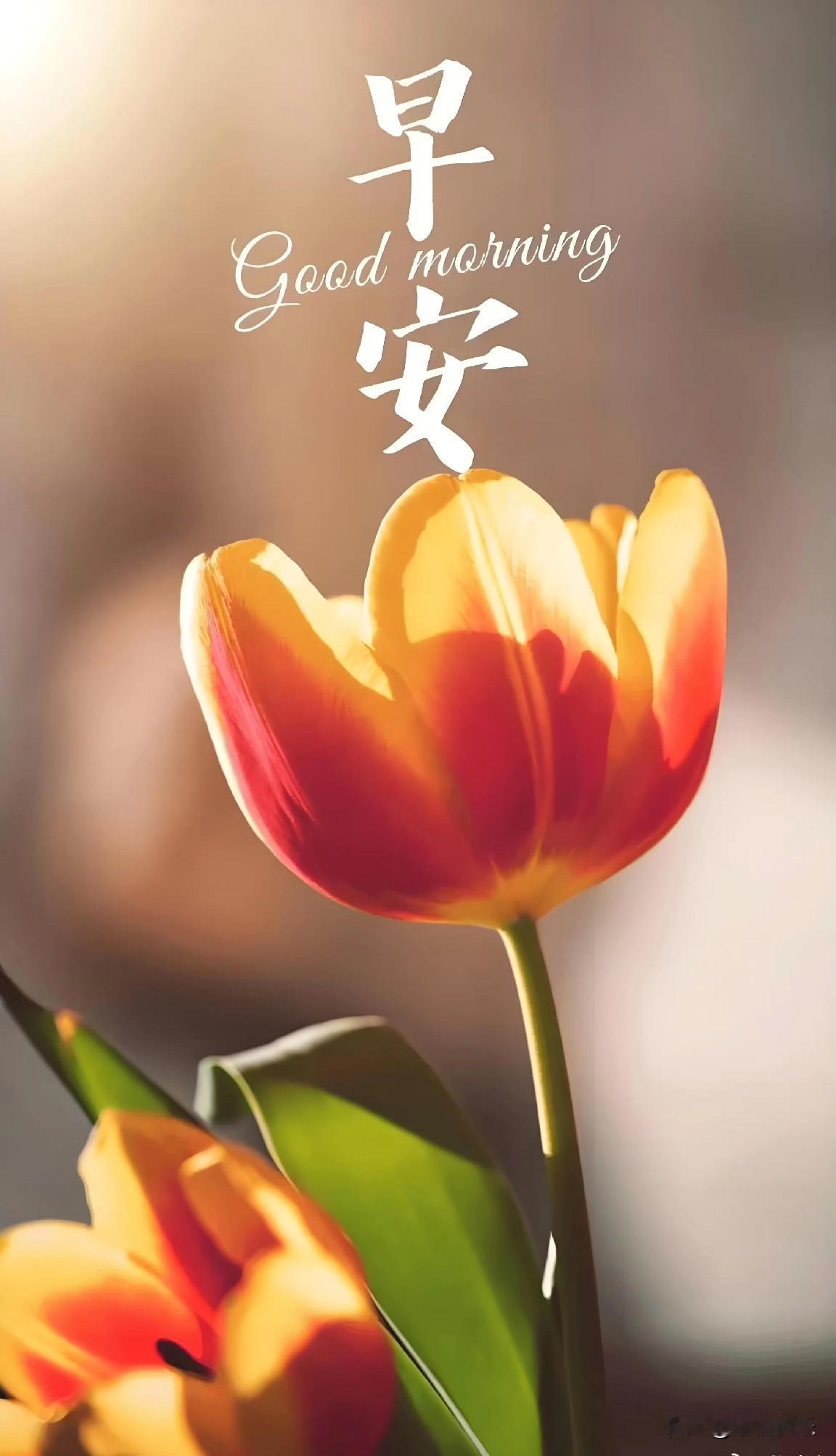 2025.12.12
——深耕，早盘


瑞可转债：将于12-12上市，上市预估