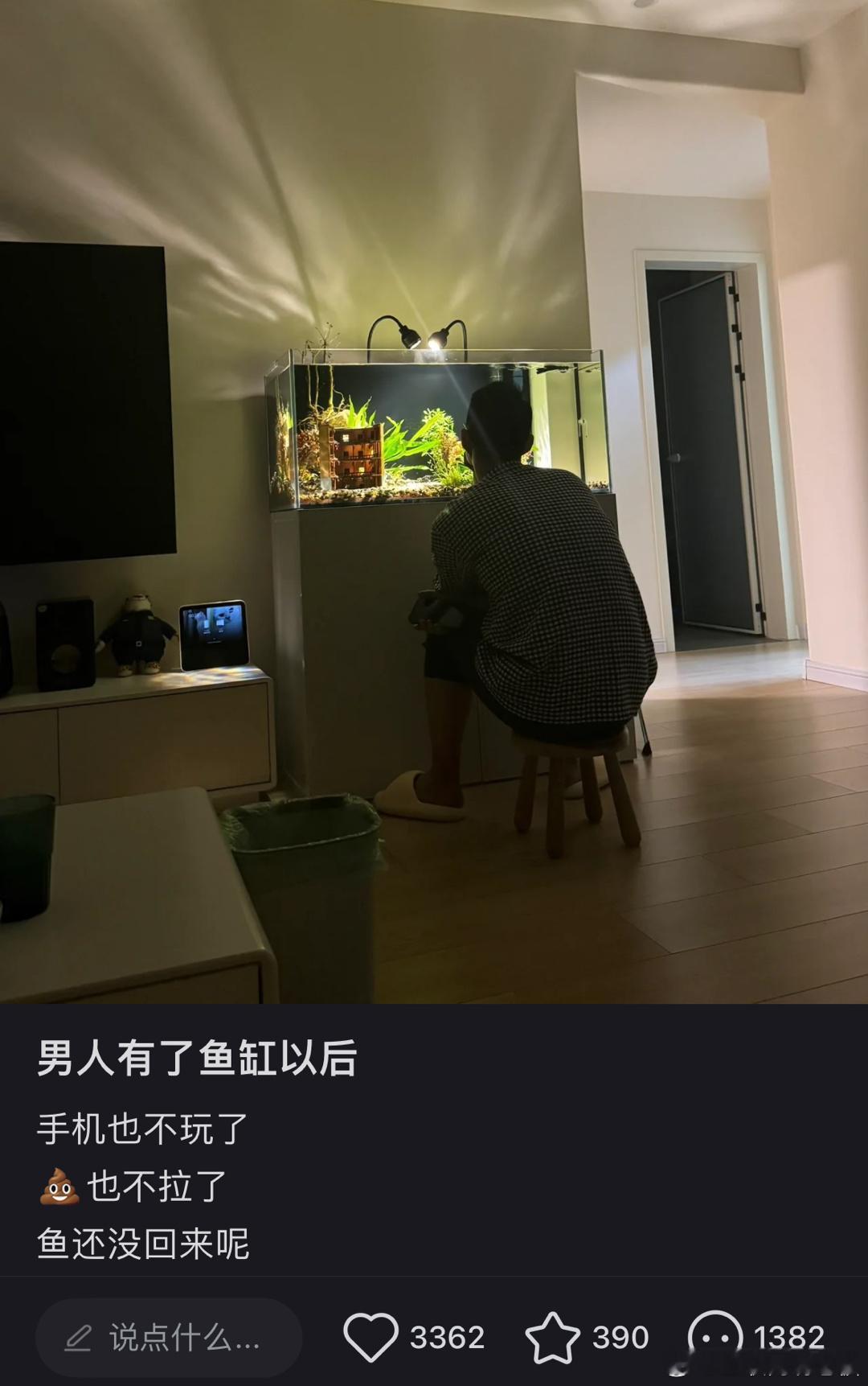 男人有了鱼缸之后。。。。下班后，拉💩也不去了，手机也不玩了。 ​​​