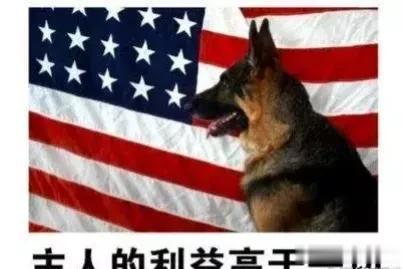 不说什么，看图。
