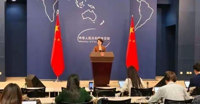 越是弹丸小国越是肆无忌惮，一个小小的斐济竟然弄了一个外交官，而且是其驻联合国大使