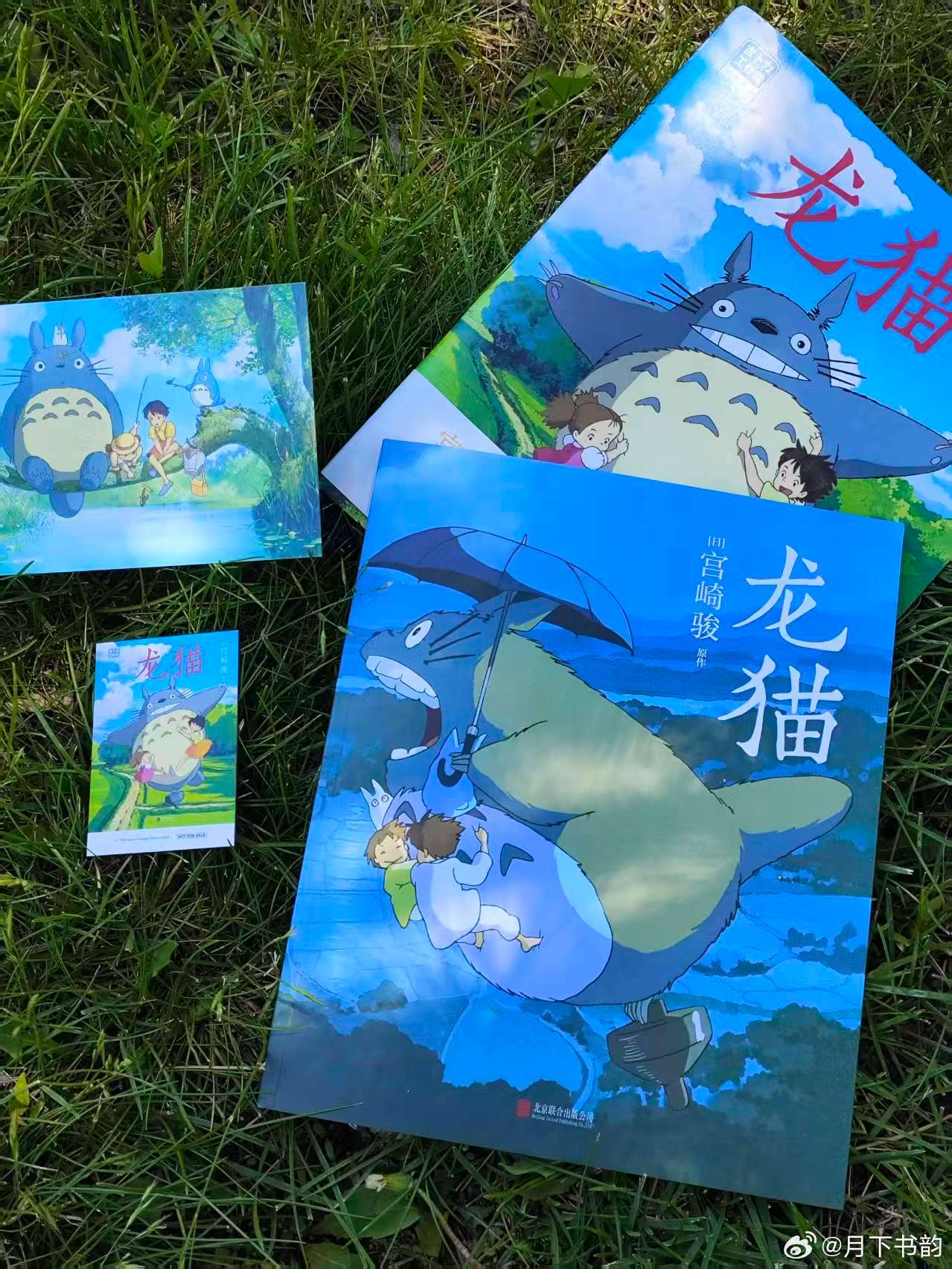 我的私人宝藏书单书评 《龙猫》：⼈真的会反复为⾃⼰年少的喜欢⼼动！是谁的童年记忆