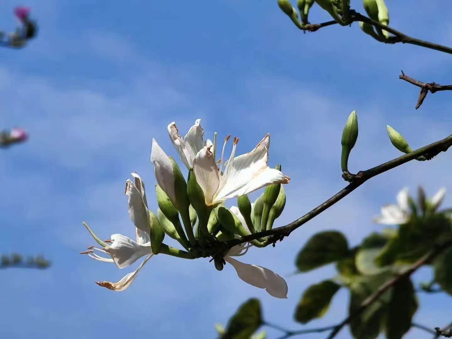 人一旦做出实实在在的成绩，周遭所有人都会和颜悦色相待；自身不争气，走到哪里都只会
