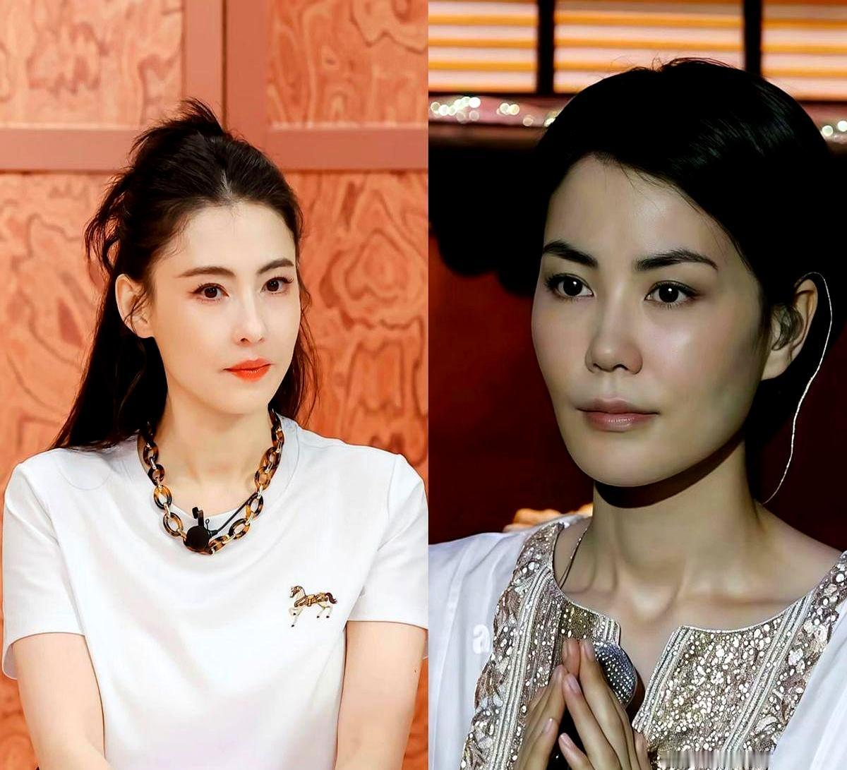 还在守丧的当口，向太按捺不住，拍案替谢霆锋、王菲撑腰，说相信清白，还喊话让“宽姐
