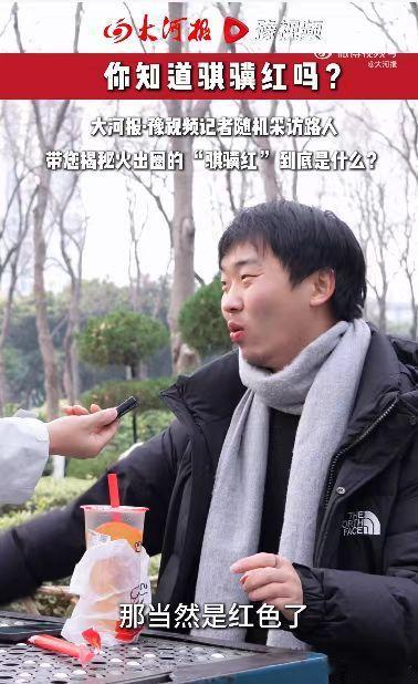 河南大爷的神回复火了！记者街采跨年穿搭聊到骐骥红，大爷直接发问是哪个单位的，可爱