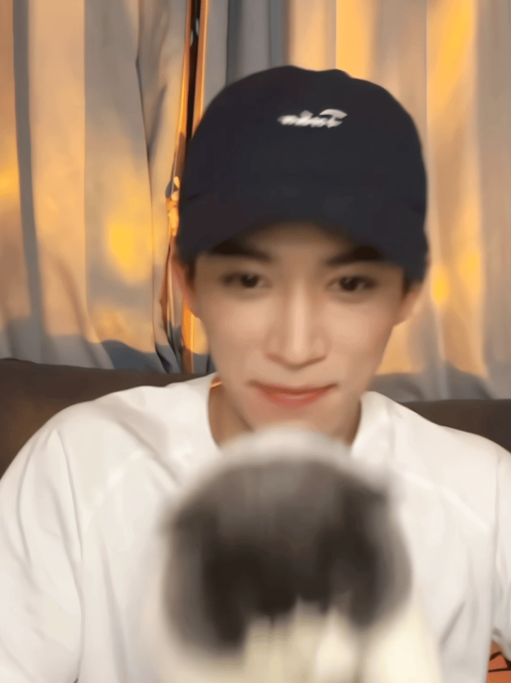 猫酱：求放过 ​​​
