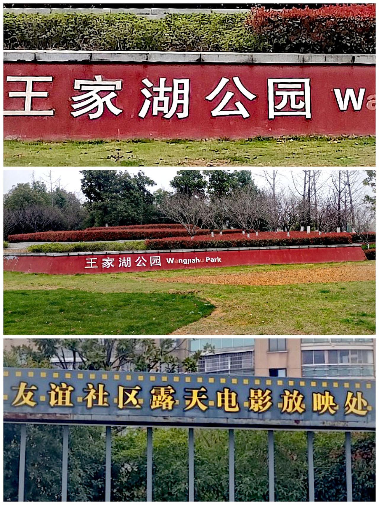 去诸暨王家湖公园(图1)，以为是小众公园随便去散步，不料公园超大，湖景秀美(图2