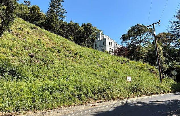 【美国加州夫妇被指在自家山坡上非法砍树38棵，被罚款682万元】

一对美国加州