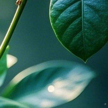 真正通透的聪明人，从不会和命运计较得失。只管踏实行善，守住本心多做善事，不纠结即