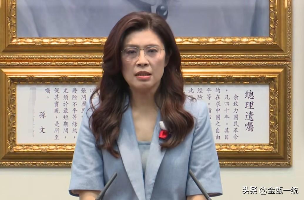 郑丽文召开记者会谈访陆：希望为两岸和平跨出成功的一步

对于4月7日访问大陆，国