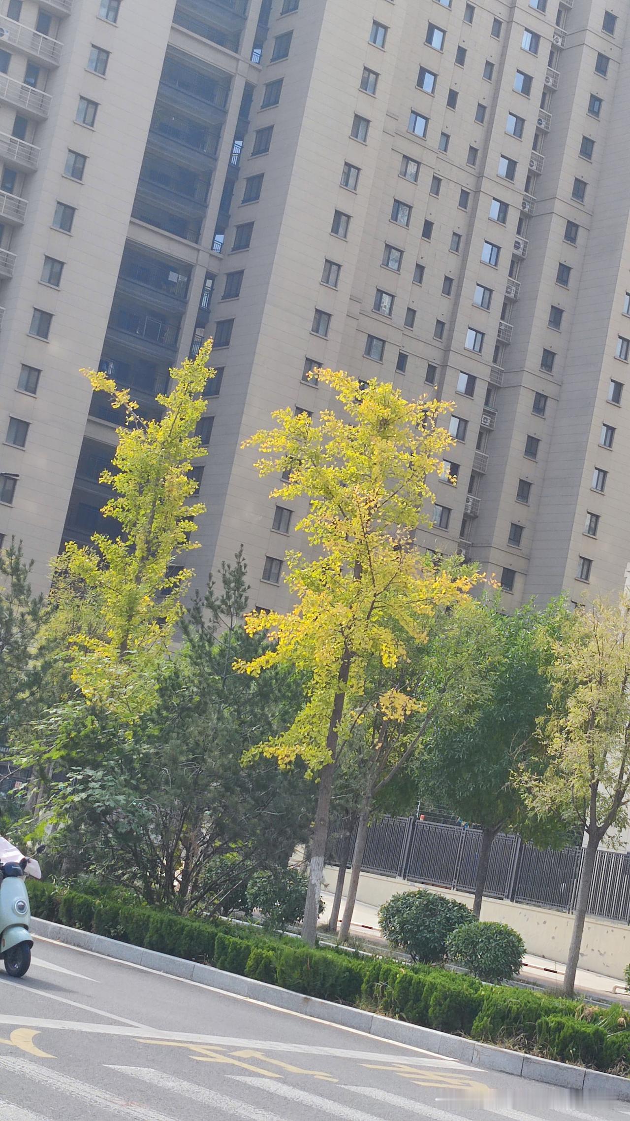 代驾16块9，车损15万，这钱到底谁来出？

刚才刷到个新闻，杭州一位宾利车主，