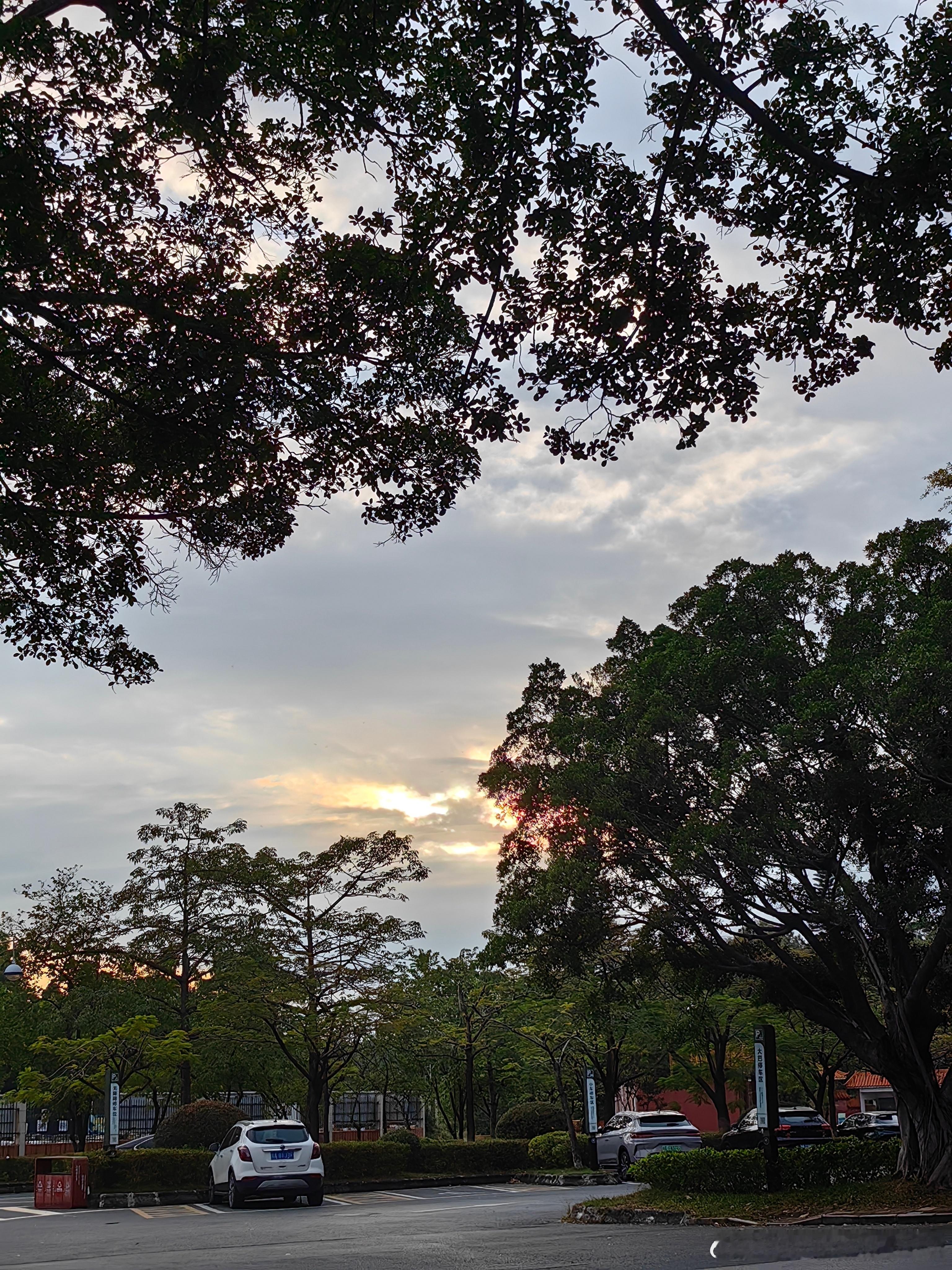 在低迷处要记得伸过橄榄枝的人，他日有能力时滴水之恩涌泉相报。他人不待见，皆因自身