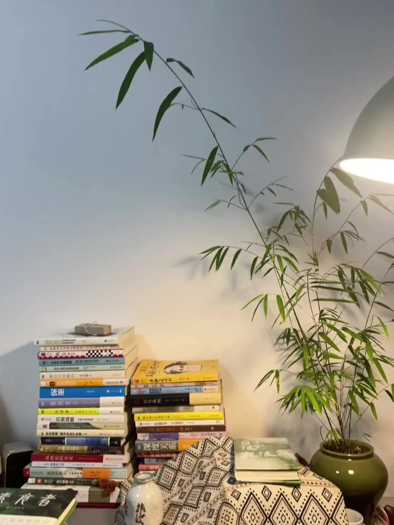 如果善良让你抑郁， 不如做个强势的母老虎 大部分人都是纸老虎 容忍只会...
