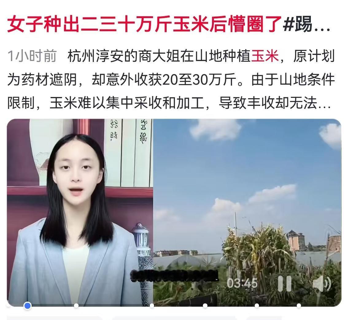 种地其实是一场充满了不确定性的博弈，尤其是当你把“情怀”和“生意”混在一起的时候