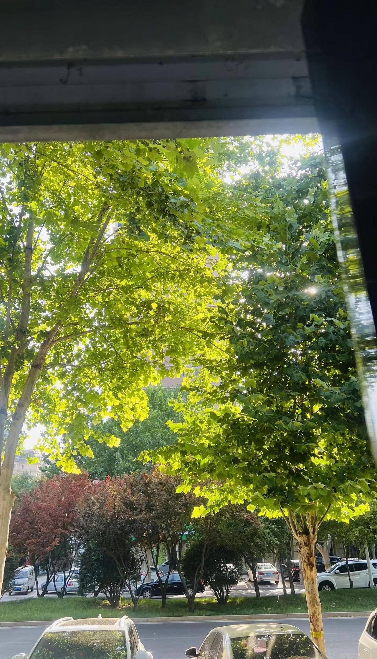 夏日酷暑，营业厅为你留一片清凉