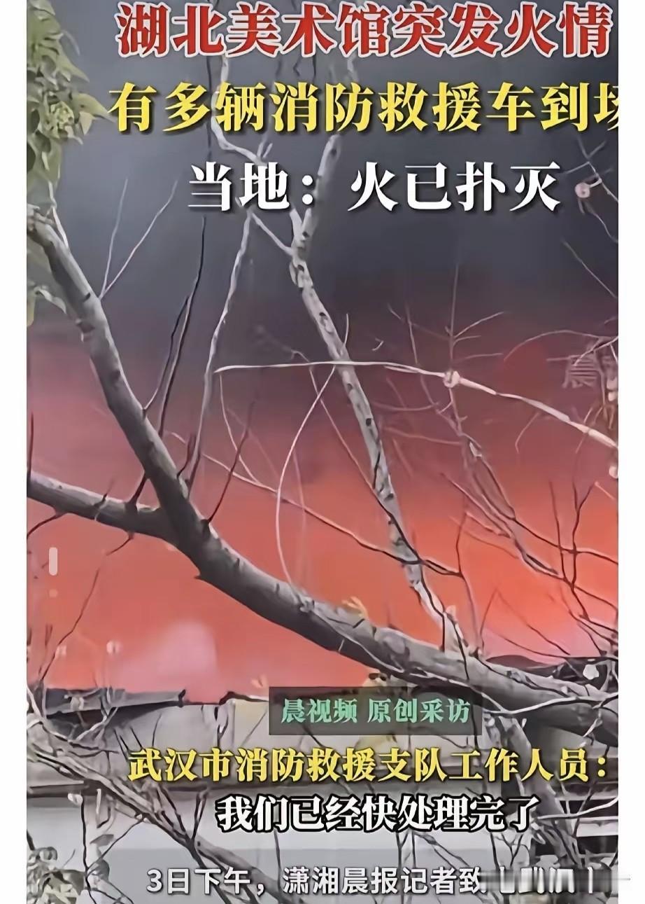 湖北美术馆失火了，而且刚好是管理档案的库房着火，各种资料都烧没了，广大网友纷纷猜