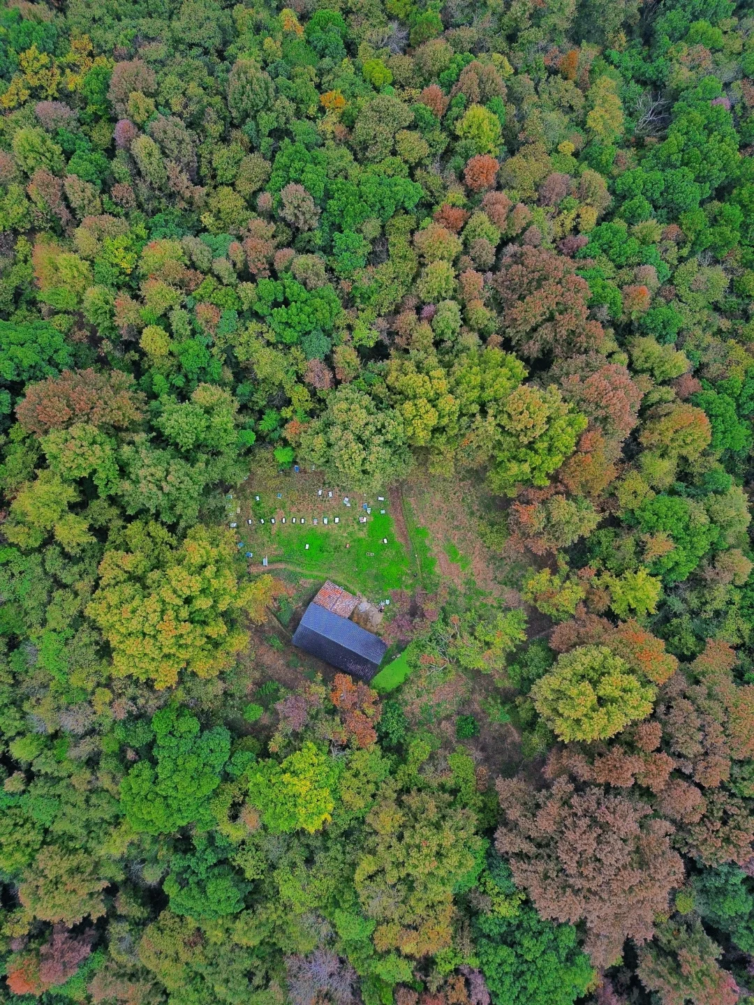 秋天来衢州北部，我只去一个地方
