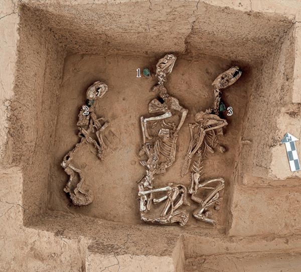 殷墟发现我国最早“野生动物园” 3000年前商代已会养珍禽异兽