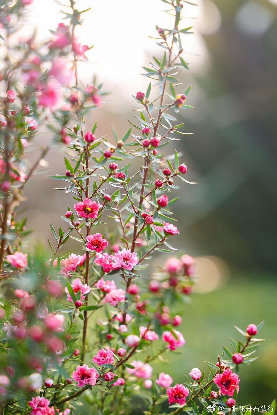 3个月是散户与机构忍耐度的关键分水岭，所以，一般板块调整三个月左右才可能开启新一