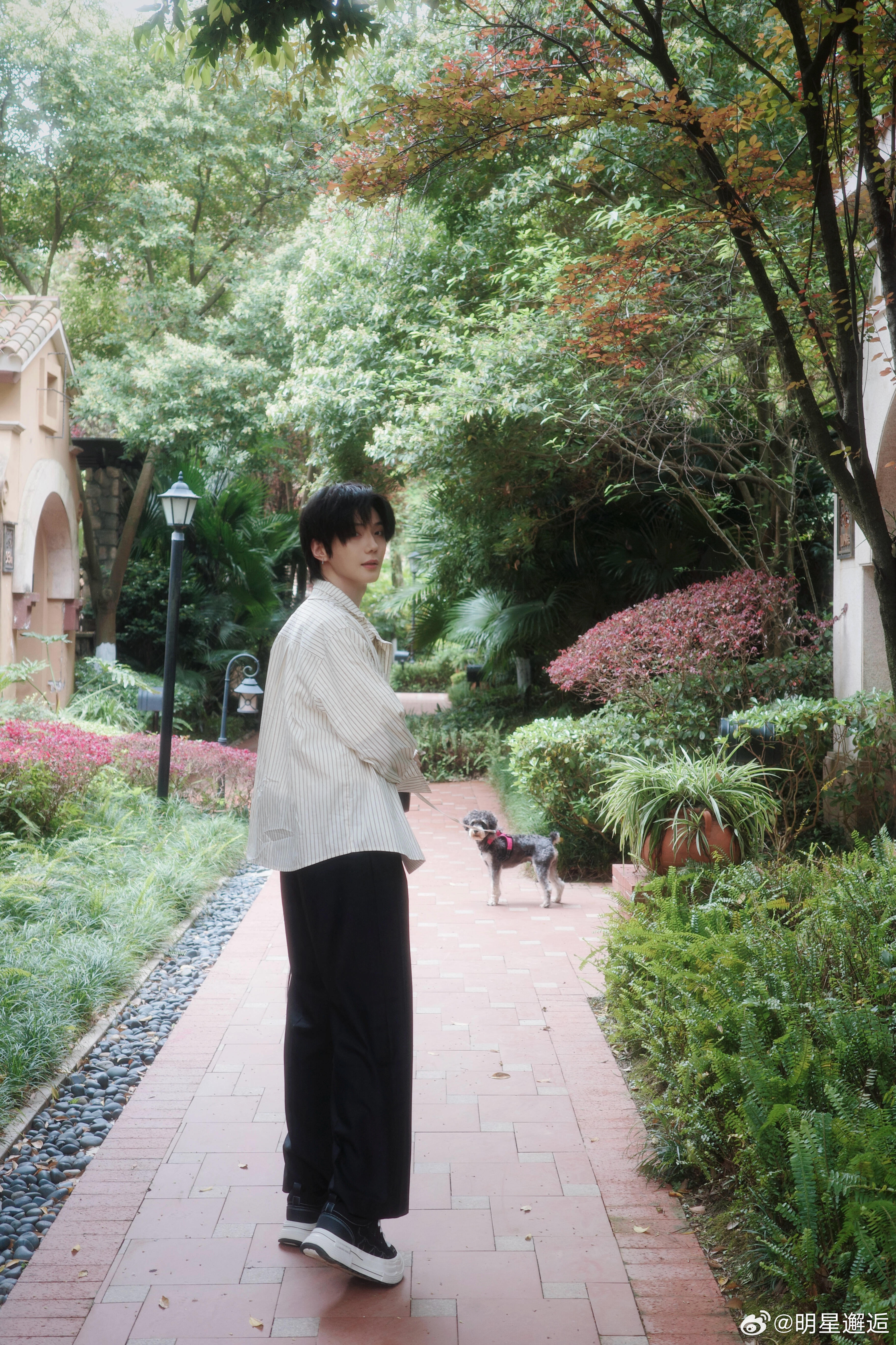 陌上人如玉  公子世无双，郝熠然低调温柔，满腹才华，却始终谦逊有礼。 