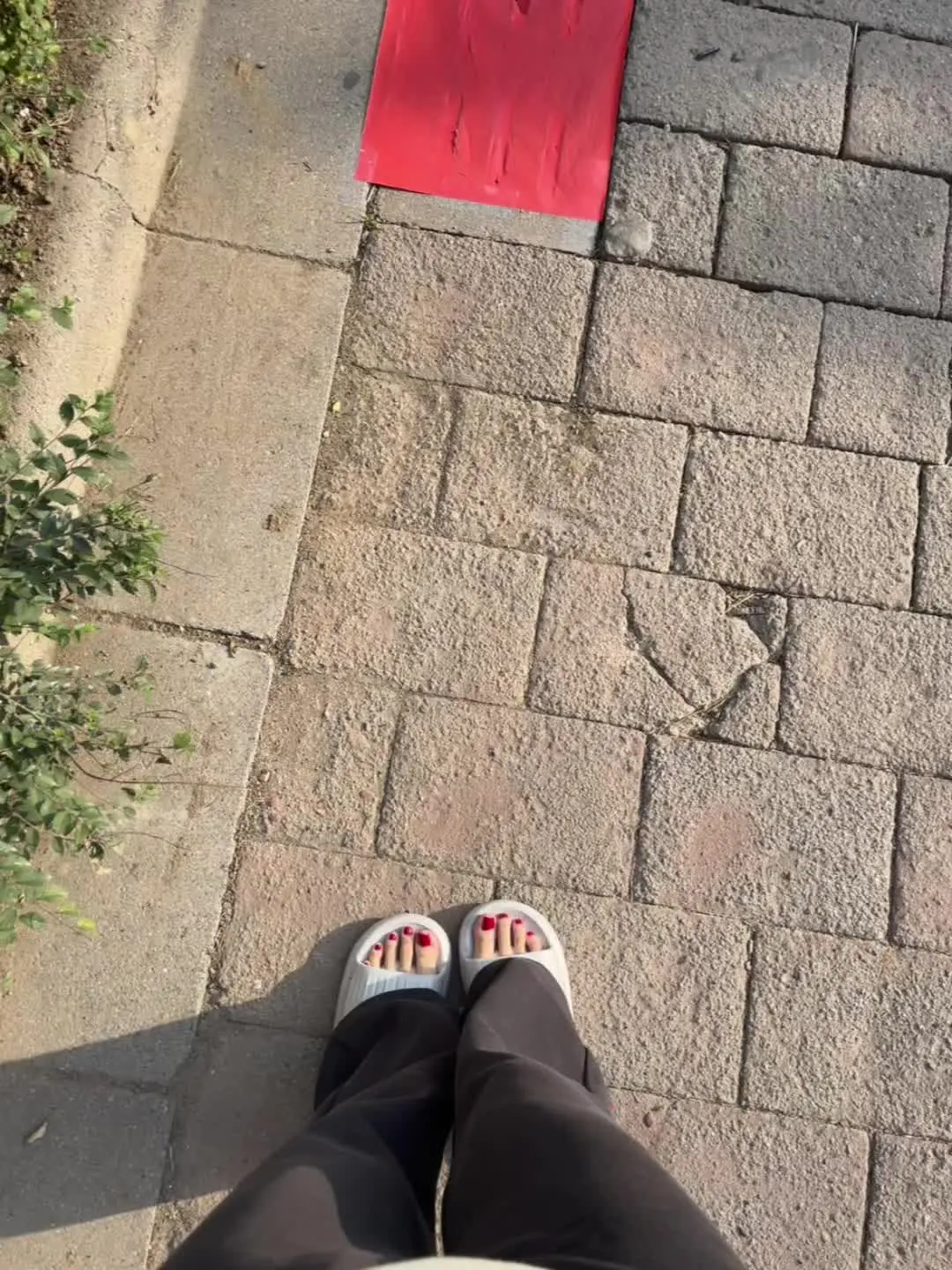 随手拍 我的身高视角 好天气 推广