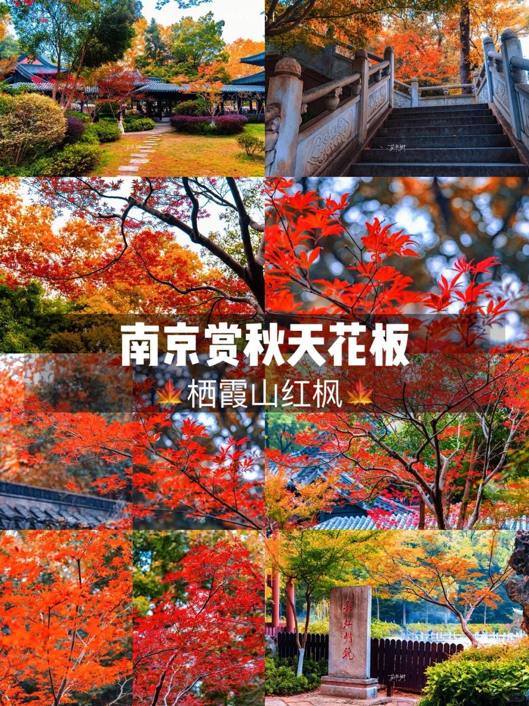 南京赏秋天花板‼️栖霞山🍁78元的门票太值了
