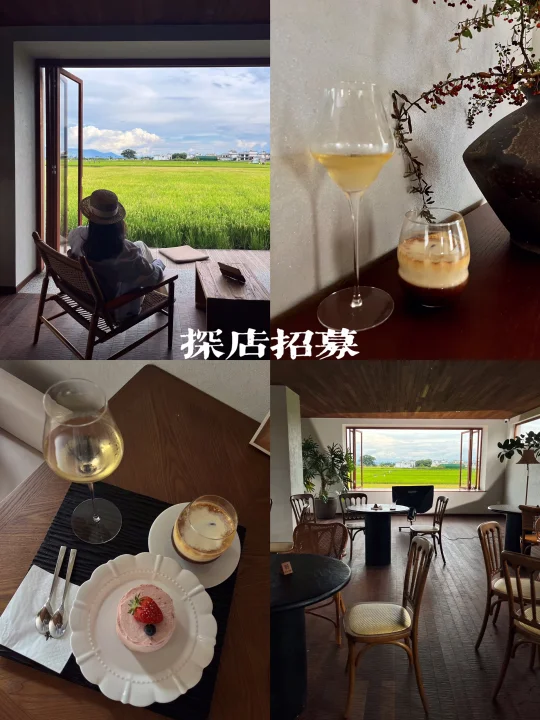 大理探店招募 | 稻田🌾咖啡☕来这里慢慢发呆