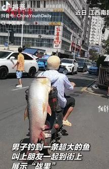 这就是命啊！江西南昌，一男子钓到一条60多斤大鱼，果断叫上朋友一起去市中心炫耀，