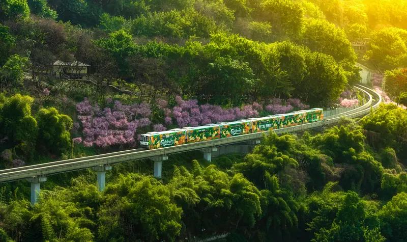 熊猫专列的线路特色满满。像“锦绣天府号”，4月27日在成都首发。它有18节车厢、