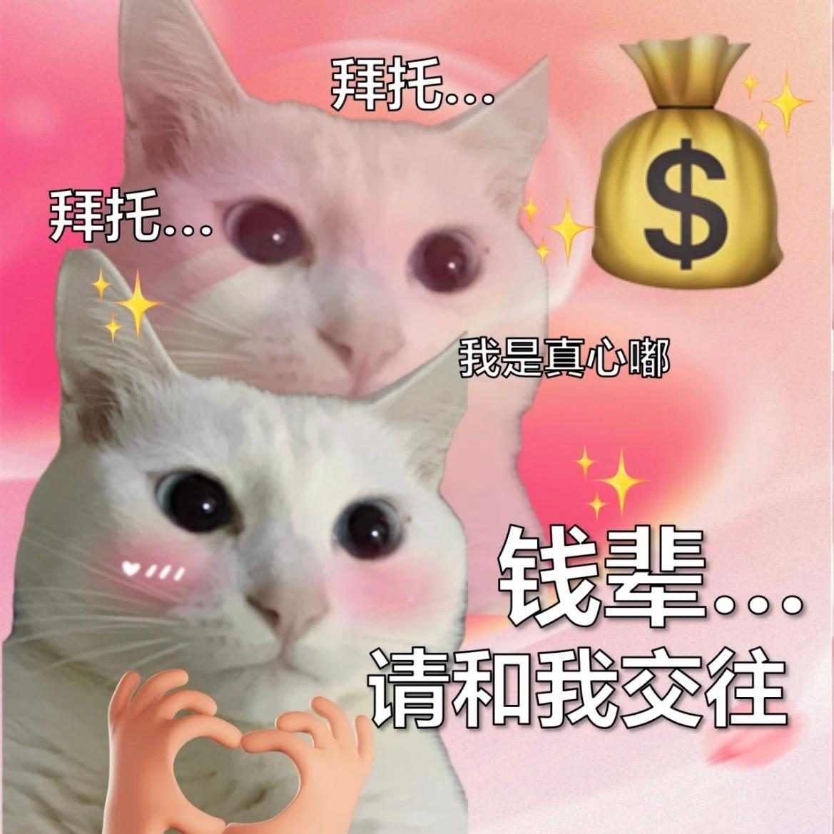 拥有这个发财猫猫，即可与💰辈共度余生[色]#第一次意识到1万块这么有质感# ​