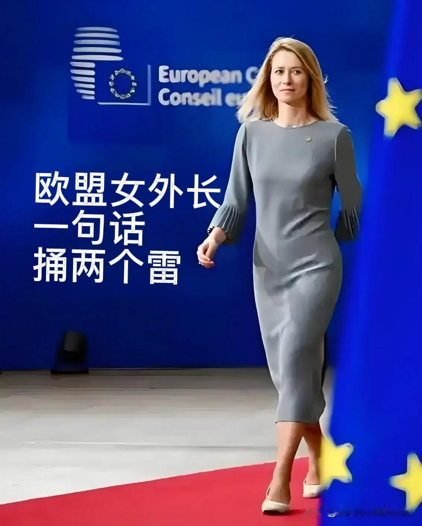 一句话捅两大雷！欧盟外长失言惨遭美乌双双打脸

近期，欧盟外交高级代表卡拉斯一番