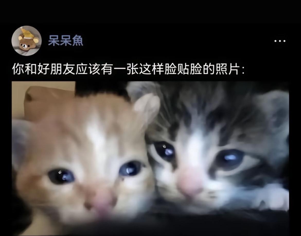 萌。