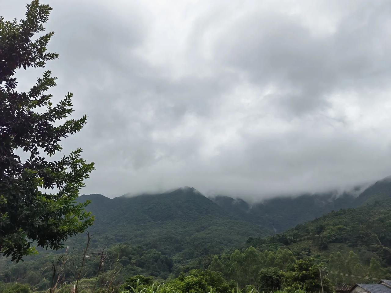 油价降了，
房价降了，
贷款利率降了，
存款利率降了，
工资降了，
住房公积金降