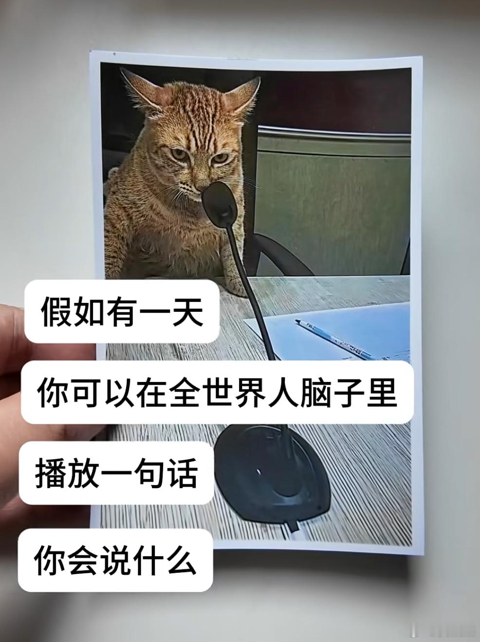 假如有一天，你可以在全世界人脑子里播放一句话，你会说什么？我先来：觉醒系统中…1