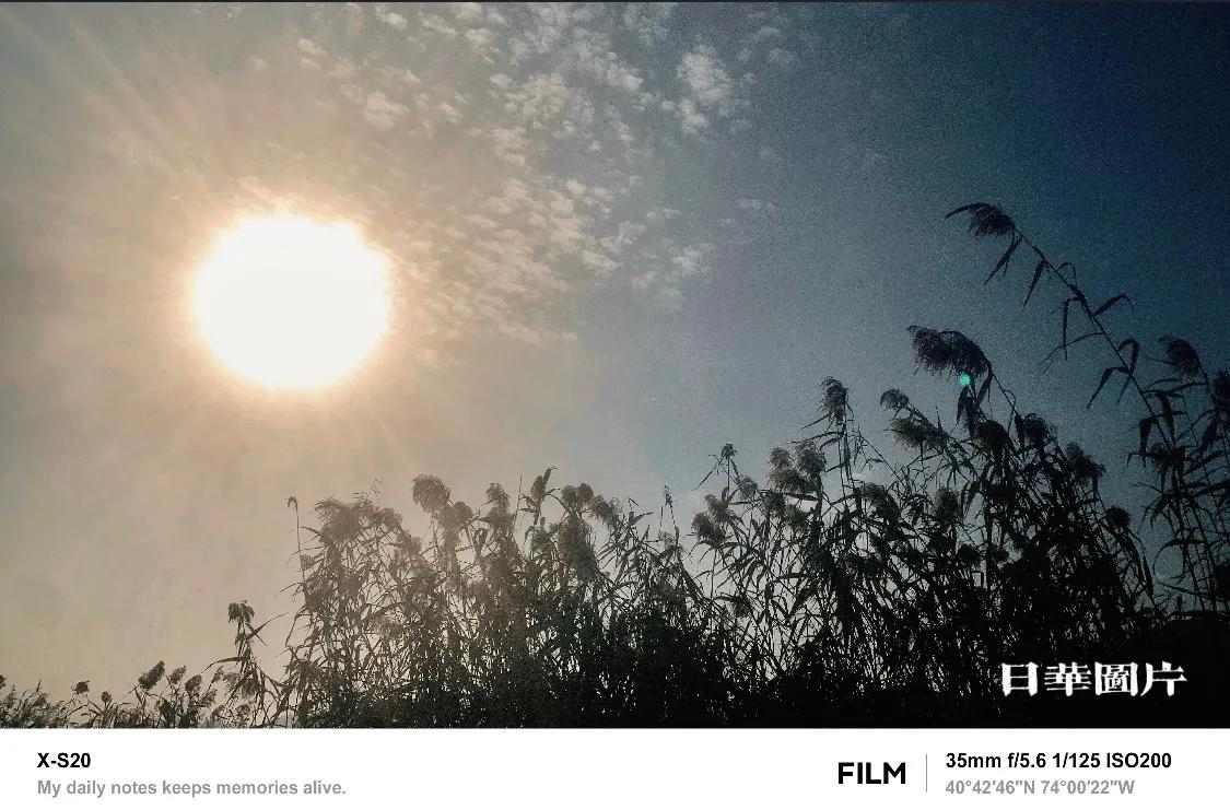 嘴懒少吃饭，
心宽天地远，
身勤强筋骨，
情淡没麻烦。

胡编了几句话，扔到网上