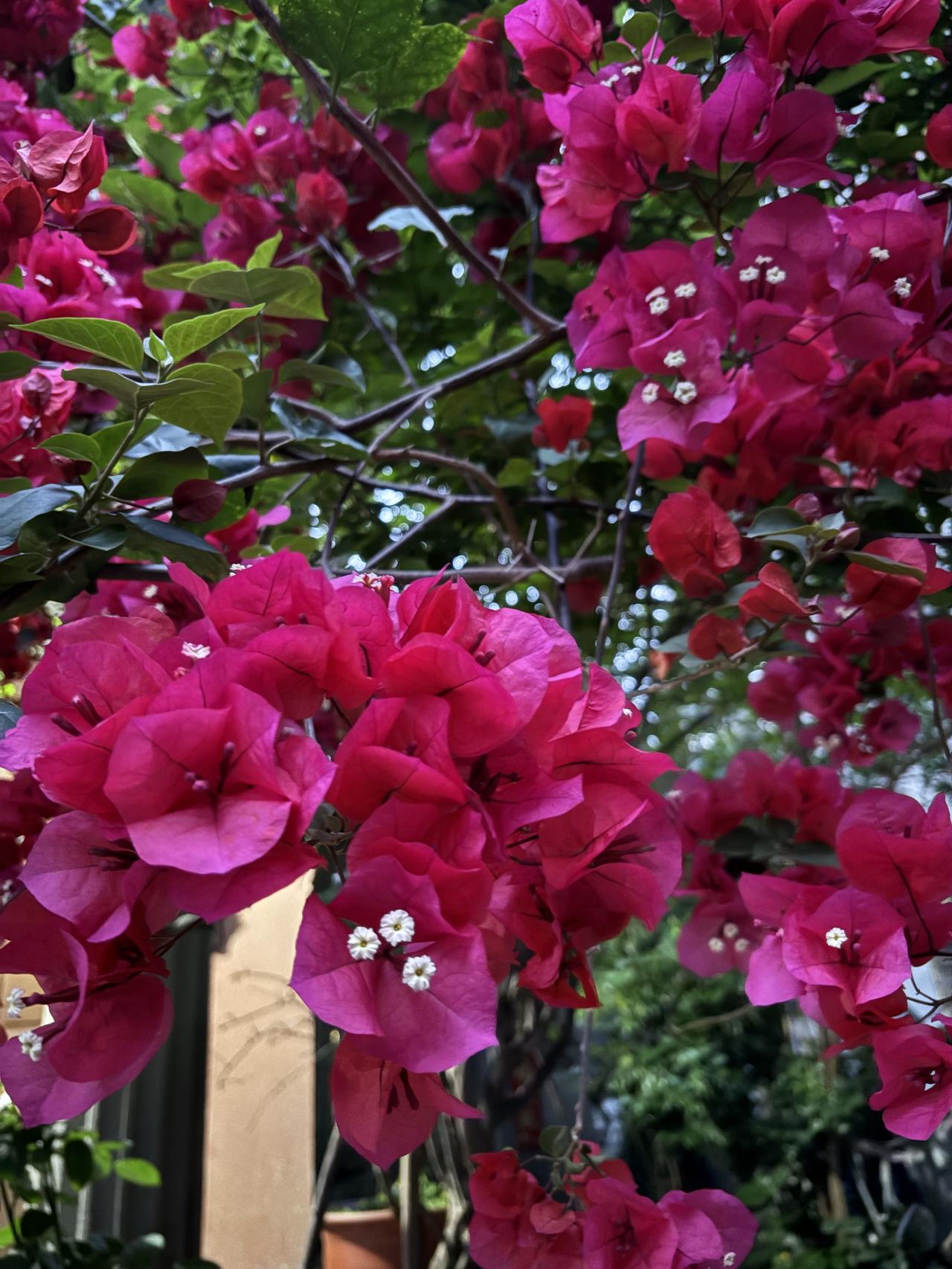 是的。两个年轻的时候觉得只要在一起就好，可经过生活中的财米油盐酱醋混搅，人情事故